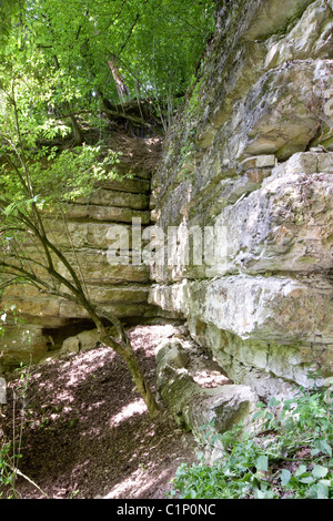 Ratisbona, Steinbruch Donauaufwärts Foto Stock