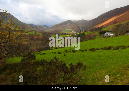 Vista da Derwent Fells verso Robinson e Ard dirupi, Parco Nazionale del Distretto dei Laghi, cittadina, Cumbria, Inghilterra, Europa Foto Stock