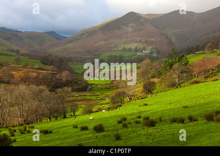 Vista da Derwent Fells verso Robinson e Ard dirupi, Parco Nazionale del Distretto dei Laghi, cittadina, Cumbria, Inghilterra, Europa Foto Stock