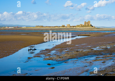 Piel isola da sud Walney beach Foto Stock