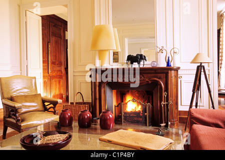 Francia, Gironde, Martillac, Smith Haut Lafitte, Cathiard casa privata Foto Stock
