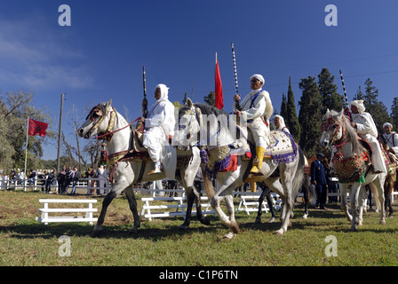 Il Marocco, Meknes Tafilalet regione regione Meknes-Tafilalet, royal stud farm di Meknes, cavalieri per Fantasia Foto Stock