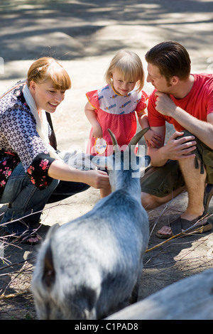 I genitori e la figlia di accarezzare capre allo zoo Foto Stock