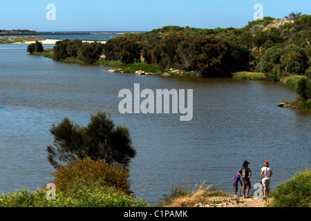 Gruppo di persone che guardano verso il basso la Irwin estuario del fiume Dongara, Australia occidentale Foto Stock