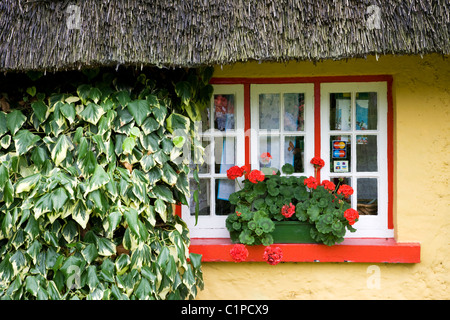 Repubblica di Irlanda, County Limerick, Adare, tetto thatched cottage in village Foto Stock