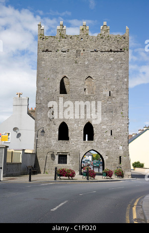 Repubblica di Irlanda, County Limerick, Kilmallock, re Giovanni il castello sulla Sheare's Street Foto Stock