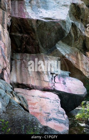 Antica san animale pitture rupestri, Tsodilo Hills, Botswana, Africa Foto Stock