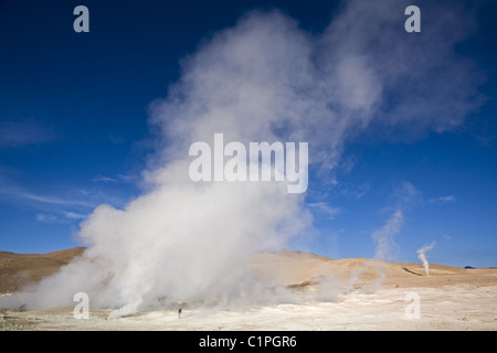 Geyser Sol de Manana, Altiplano, Bolivia, Sud America Foto Stock