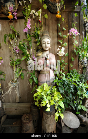 Un bellissimo giardino di orchidee finale, la casa e il giardino , bangkok, Thailandia Foto Stock