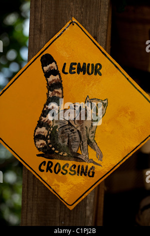 Cartello stradale, Lemur Crossing. Illustrazione di un anello-tailed Lemur (Lemur catta), da un artista locale. Madagascar. Souvenir turistici. Foto Stock