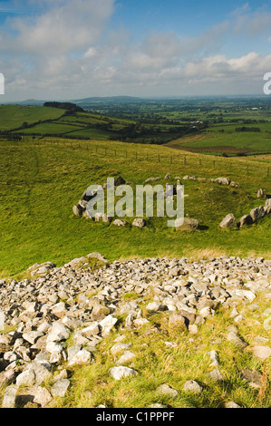 Repubblica di Irlanda, Boyne Valley, sito di Lough equipaggio Tomba di passaggio Foto Stock