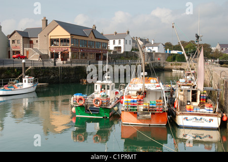 Irlanda del Nord, Belfast, Kilkeel, barche da pesca ormeggiate in porto Foto Stock