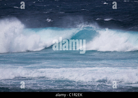 Belle blue wave a rottura Hookipa Beach, situato sul ventoso North Shore. Foto Stock