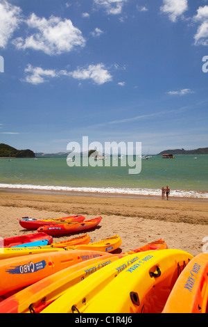Canoe sulla spiaggia, Paihia, Bay of Islands, Northland e North Island, Nuova Zelanda Foto Stock