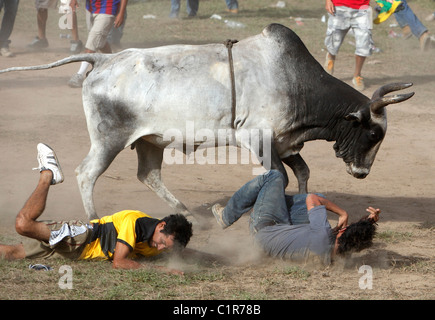 Un toro corre giù due uomini a un toro di equitazione evento durante un festival di civili in Liberia, Costa Rica Foto Stock