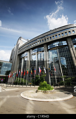 Bandiere di fronte al Parlamento europeo - Bruxelles, Belgio Foto Stock