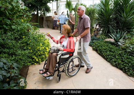 Persone / persona / visitatore / visitatori / turistico / turisti in serra presso la sede centrale di RHS / HQ at Wisley. Surrey. Regno Unito. Foto Stock