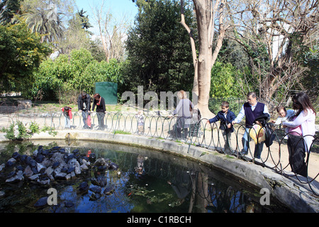 Grecia Atene Attica i giardini nazionali Foto Stock