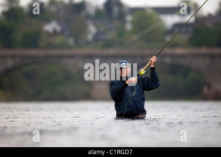 La pesca del salmone sul fiume Tweed, vicino a Kelso, in Scottish Borders. Foto Stock