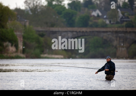 La pesca del salmone sul fiume Tweed, vicino a Kelso, in Scottish Borders. Foto Stock