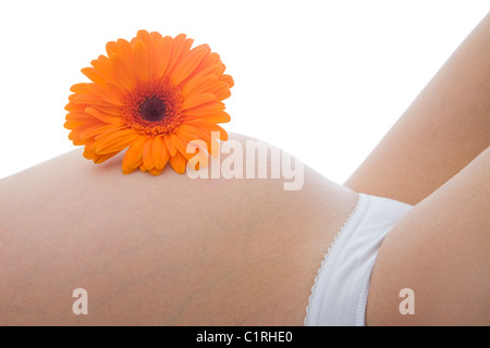 Donna incinta con un arancione gerber daisy sul suo bump. Foto Stock