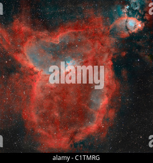 IC 1805, cuore Nebulosa Foto Stock