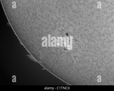 H-alfa Sun con le macchie solari e sporgenze solare Foto Stock