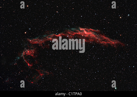 NGC 6992, il velo orientale nebulosa. Foto Stock