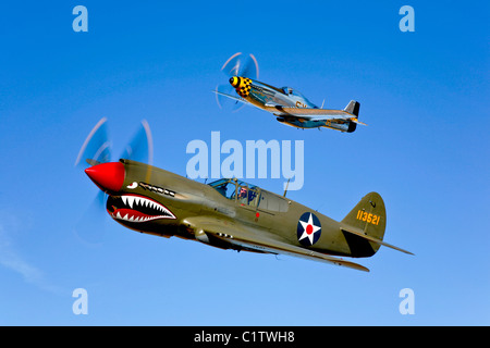 Un P-40E Warhawk e un P-51D Mustang Kimberly Kaye in volo nei pressi di Chino, California. Foto Stock