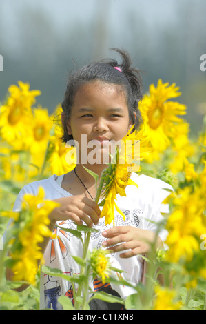 Ragazza in posa con girasoli, campo di girasole , i campi di girasole di lopburi , Tailandia centrale Foto Stock