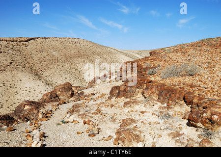 Antiche rocce sotto il cielo blu. Deserto del Negev, Israele. Foto Stock