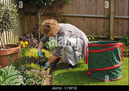 Donna di mezza età che indossa ginocchiere lavora in giardino UK giardinaggio in primavera sole Foto Stock