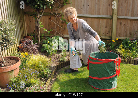 Donna di mezza età che indossa ginocchiere lavora in giardino UK giardinaggio in primavera sole Foto Stock