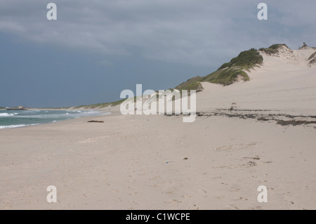 Madagascar, Tolanaro (Fort Dauphin), polveroso spiaggia di sera Foto Stock