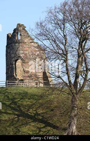 La stoltezza sulla collina di Castello di Tutbury Foto Stock