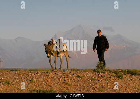 In Kirghizistan, Provincia di SSL, l'uomo con donkey, montagne di Sary Tash in background Foto Stock