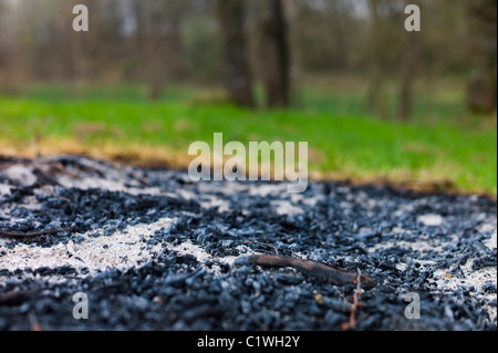 Resti di un fuoco di legno aperto Foto Stock