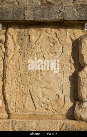 Scultura in rilievo raffigurante una Jaguar di mangiare un cuore umano sulla piattaforma di aquile e giaguari a Chichen Itza, Yucatan, Mexco. Foto Stock