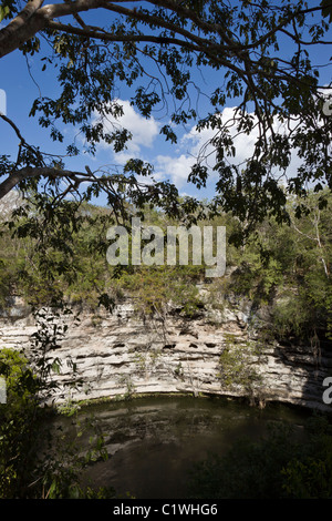 Il sacro Cenote o "bene di sacrificio" dedicata a Chaac in Chichen Itza, la penisola dello Yucatan, Mexco. Foto Stock