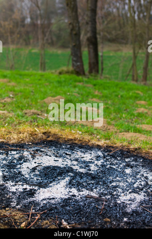 Resti di un fuoco di legno aperto Foto Stock