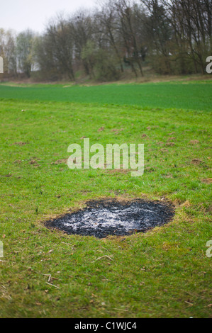 Resti di un fuoco di legno aperto Foto Stock