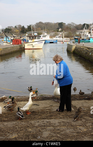Donna alimentazione di uccelli a Lymington in Hampshire Foto Stock