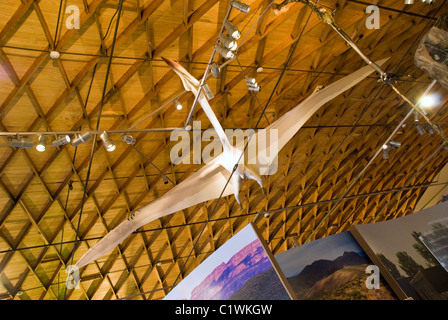 Un impennata Pteranodonte (pterodactyl] apparentemente vola sopra le teste dei visitatori, presso il Museo di Big Bend, Alpine, Texas. Foto Stock