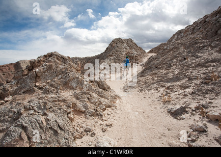 Runner trekking lungo la White Mesa Bike Area - Ojito deserto - New Mexico. Foto Stock