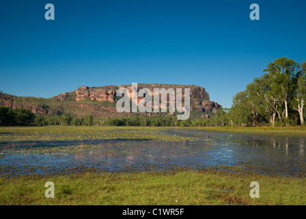 Vista di Nourlangie da Anbangbang Billabong, Parco Nazionale Kakadu Foto Stock