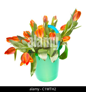 Tulipani arancione nel secchio per Pasqua e dutch queensday Foto Stock