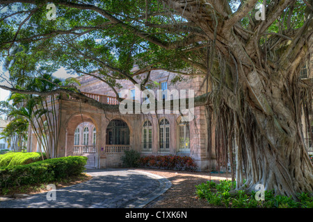 Ingresso principale, dal lato est, di Charles & Edith Ringling il ritiro invernale, presentazione di una maestosa struttura Banyan Tree. Foto Stock