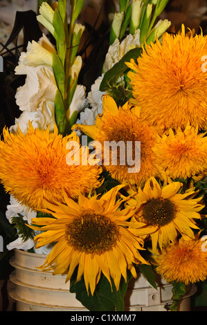 Fiori in mostra, commerciante di mercato in stallo, del Mercato di Pike Place, Seattle, Washington Foto Stock