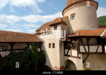 Castello di Bran (Castelul Bran) - Conteggio Castello di Dracula, Braşov, Valacchia, Romania Foto Stock