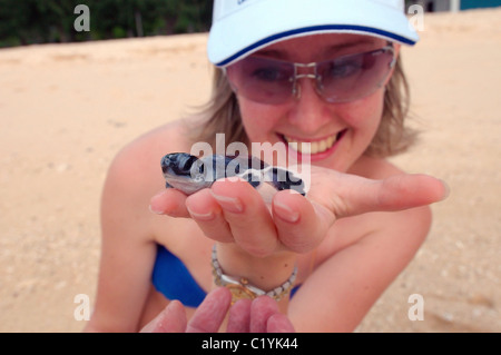 La donna tiene su un Palm baby la grande tartaruga verde (Chelonia Mydas) Foto Stock